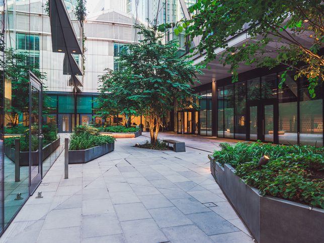 Trees and raised beds in a commercial office courtyard