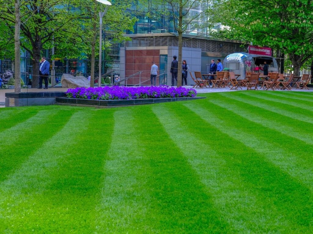Freshly striped lawn on a maintained commercial estate