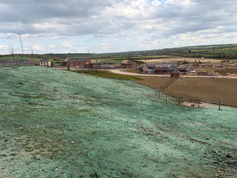 Hydroseeded open space at Davidson Homes development in Kettering