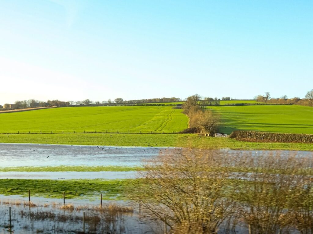 Flood meadow and attenuation area in open countryside