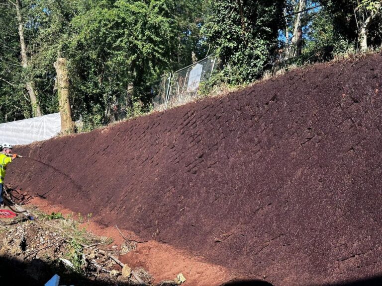 Hydroseeded steep slope with hex cup stabilisation system